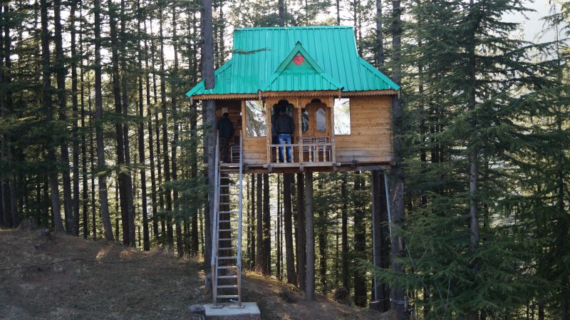 Himalayan Bliss Treehouse Shimla
