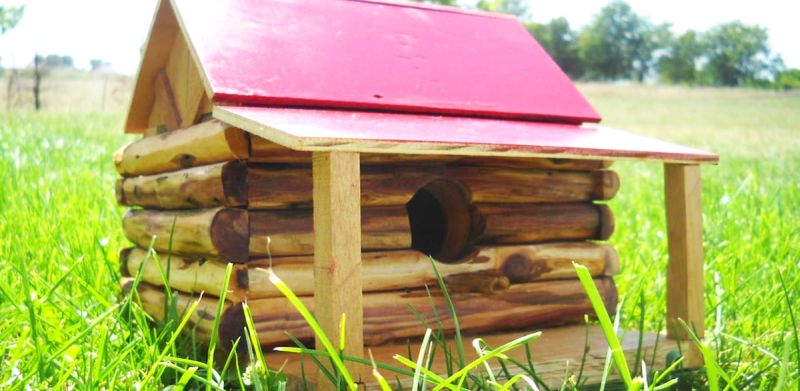 30 Beautiful Birdhouse Designs for Your Feathered Friends