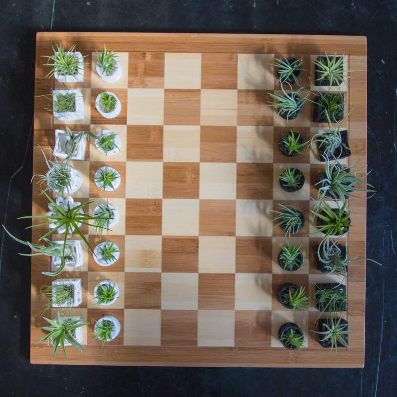 This micro planter chess set is lively art piece for your home