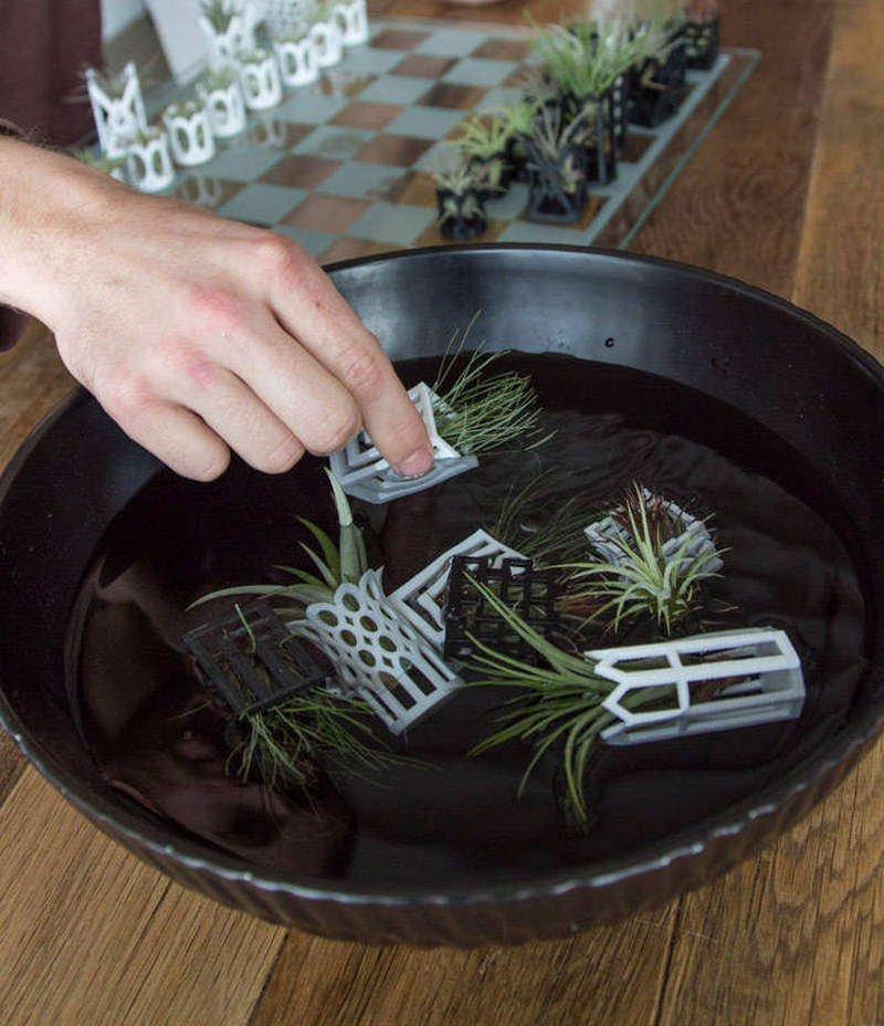 This micro planter chess set is lively art piece for your home