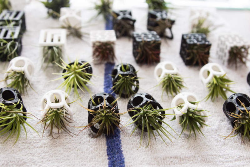 This micro planter chess set is lively art piece for your home