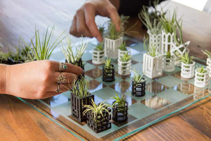 This mini planter chess set is lively art piece for your home
