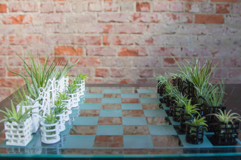 This mini planter chess set is lively art piece for your home