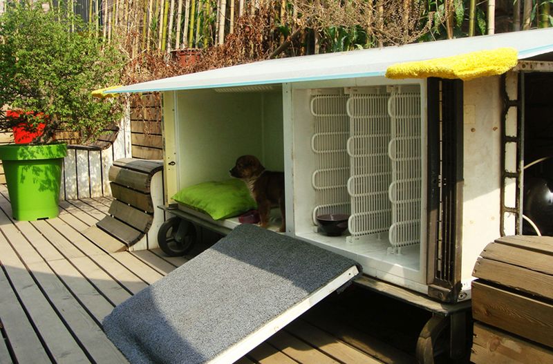 fridge into doghouse