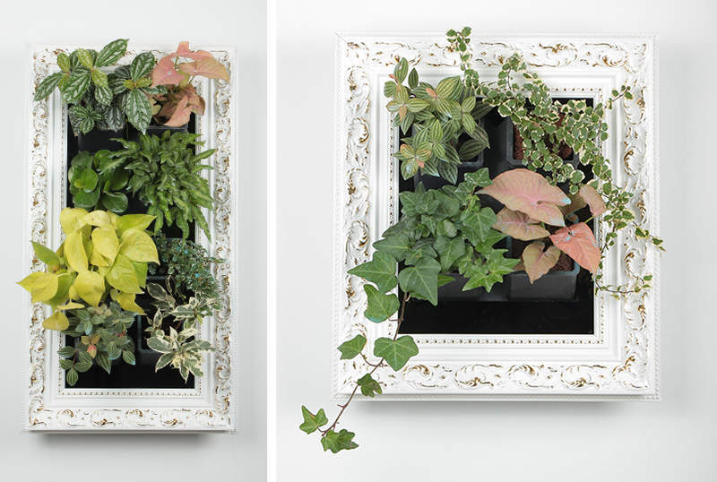 Zhejiang Nashou’s smart garden purifies indoor air