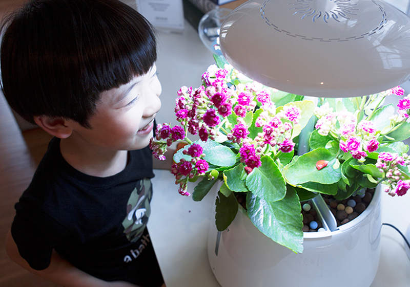 Zhejiang Nashou’s smart garden purifies indoor air