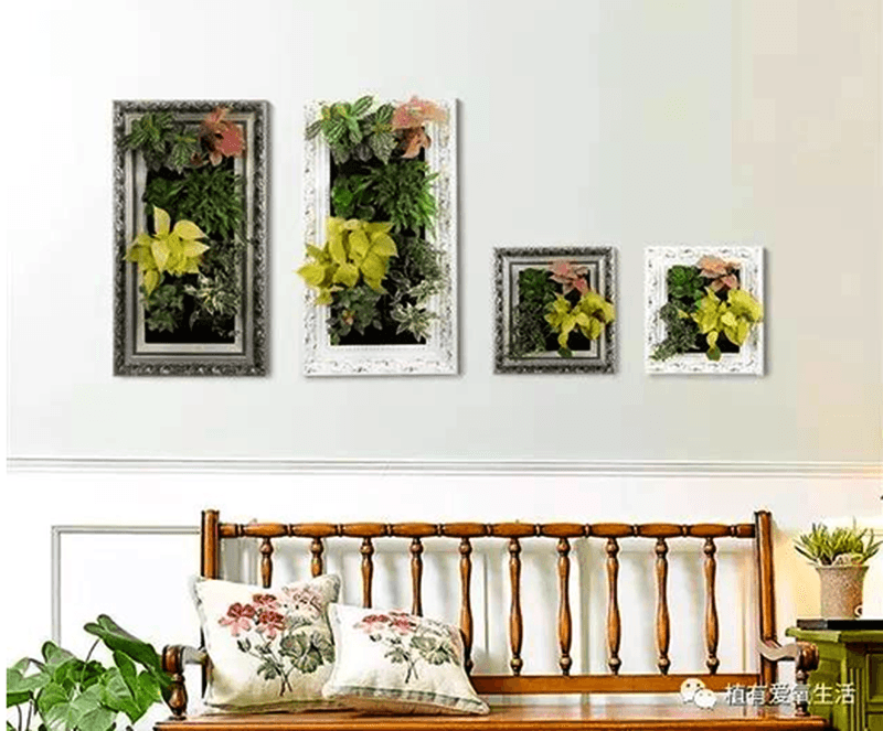 Zhejiang Nashou’s smart garden purifies indoor air