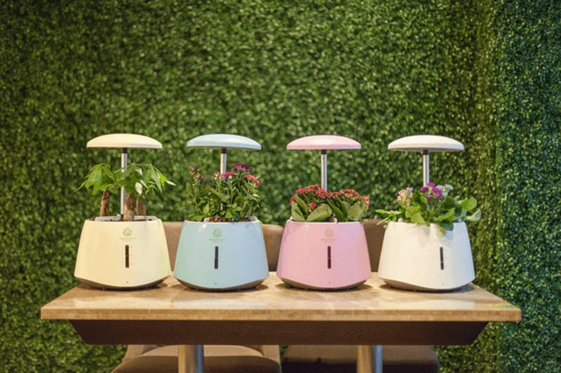 automatically adjusts to the light and water needs for plants