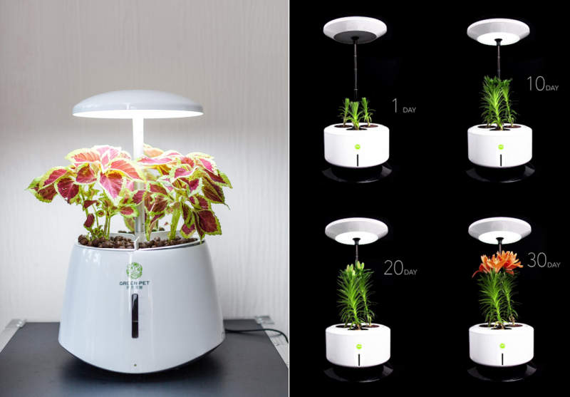 Zhejiang Nashou’s smart garden purifies indoor air