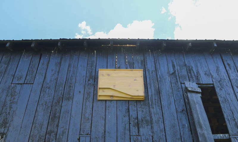 BatBnB is wooden birdhouse specifically designed for bats
