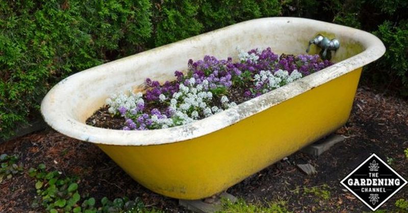 Old Bathtub into garden planter