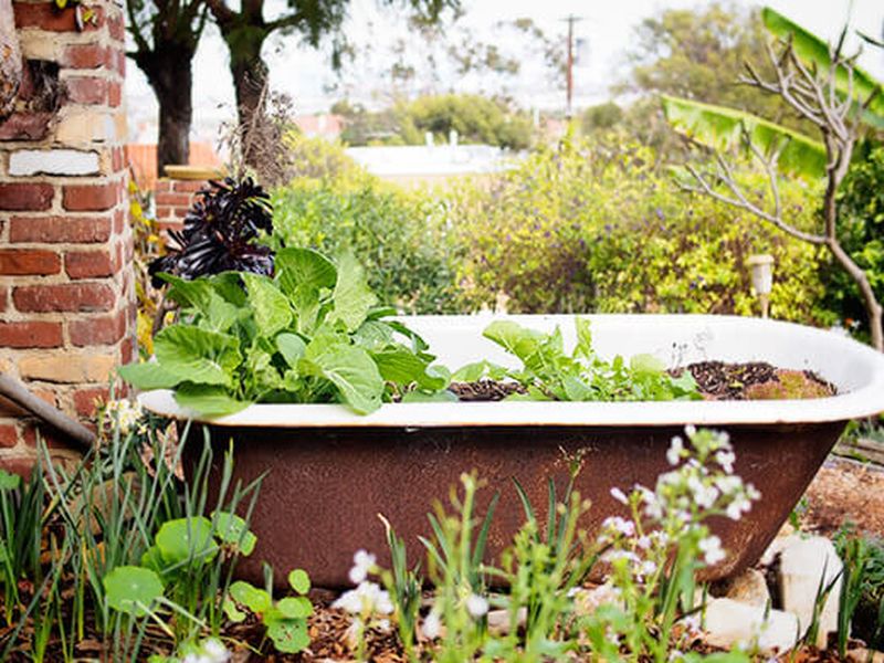 Old Bathtub are great cheap gardening containers