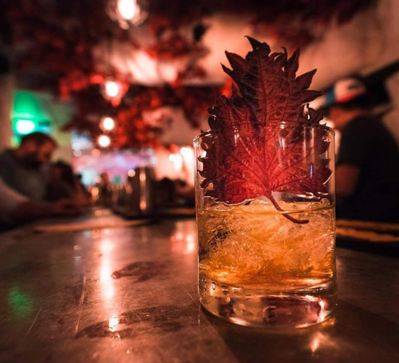 Drink Company opens Game of Throne pub in Washington