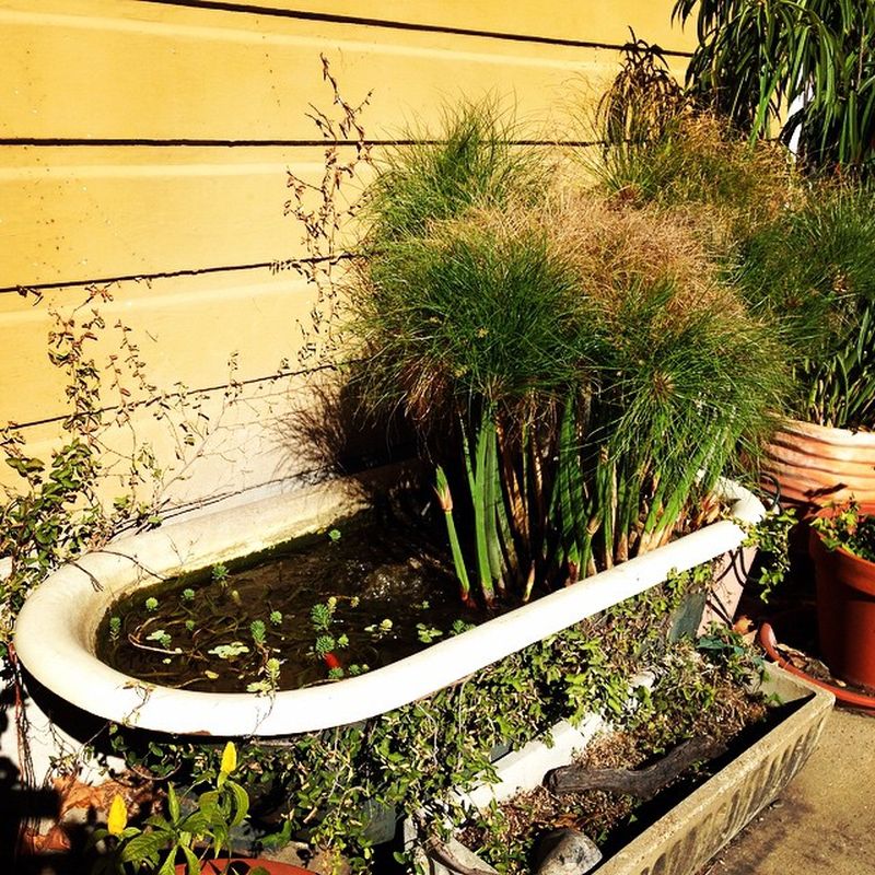 Old bathtub into garden planter
