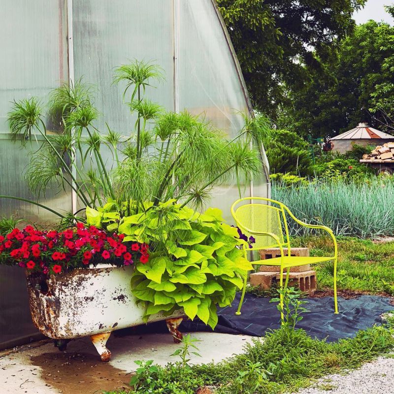 Old bathtub into garden planter