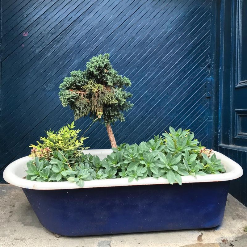 Old bathtub into garden planter