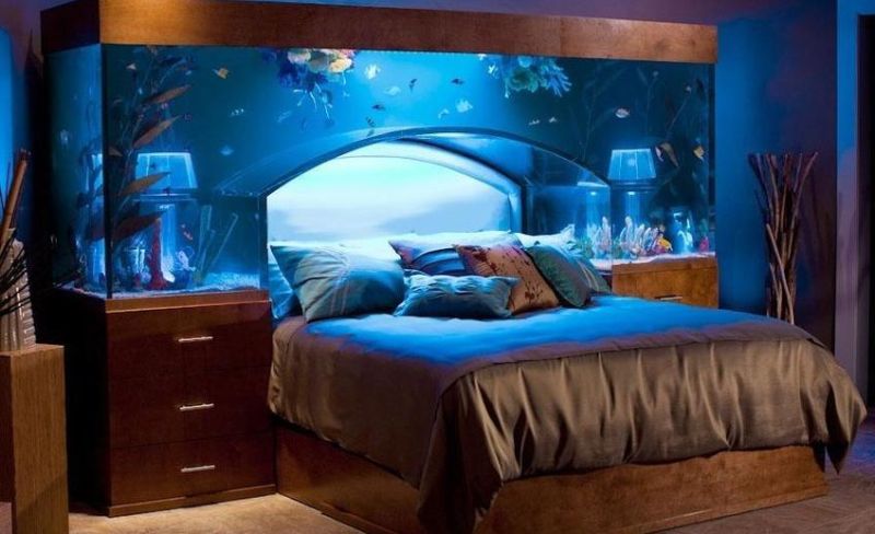 20 Best Aquarium Ideas To Freshen Up Your Home Interior