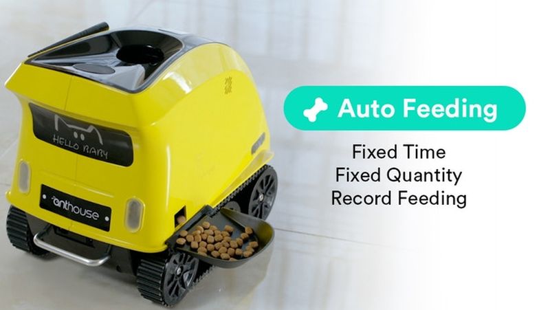 anthouse companion robot