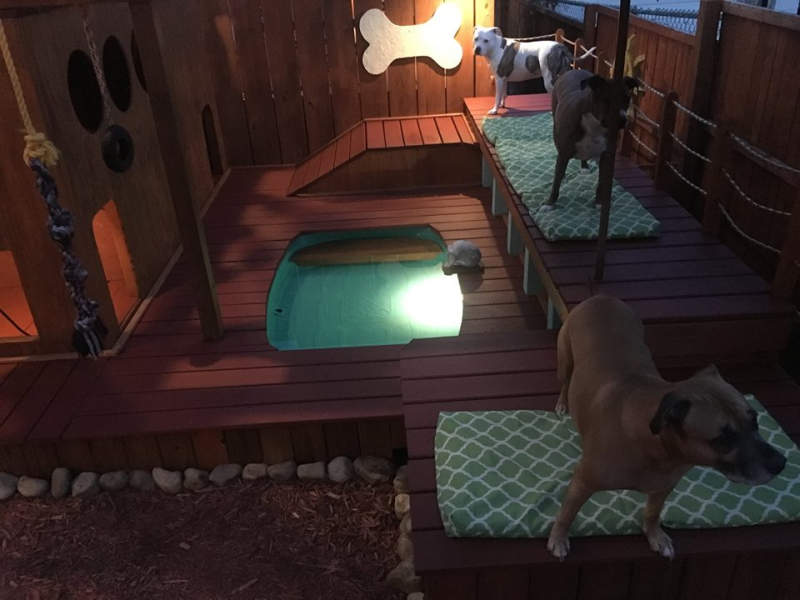 Man builds expansive dog mansion complete with pool and deck