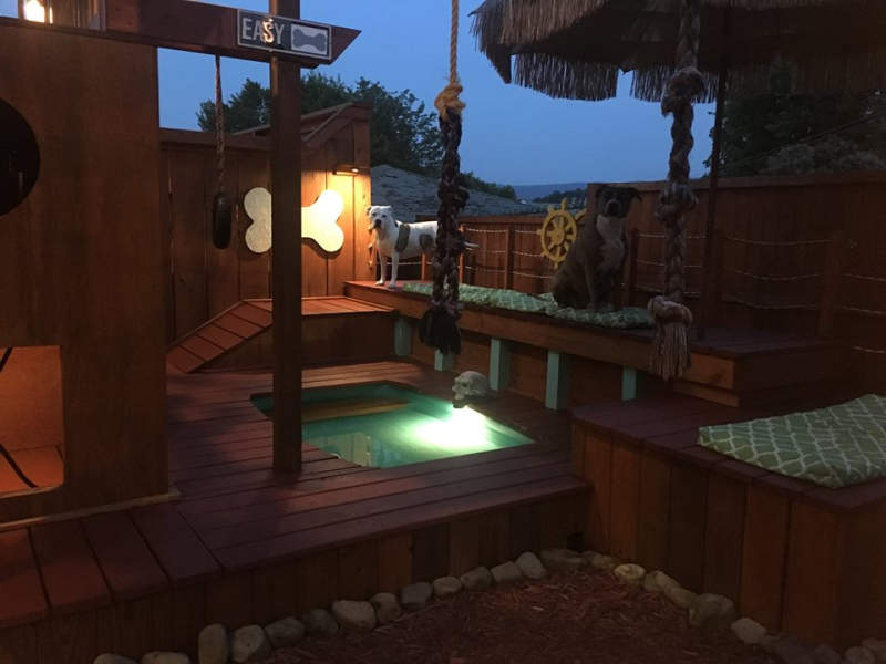 Man builds expansive dog mansion complete with pool and deck