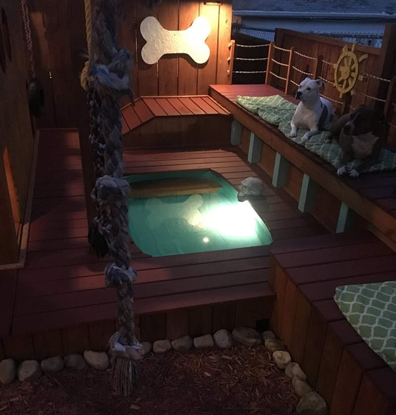 Man builds expansive dog mansion complete with pool and deck