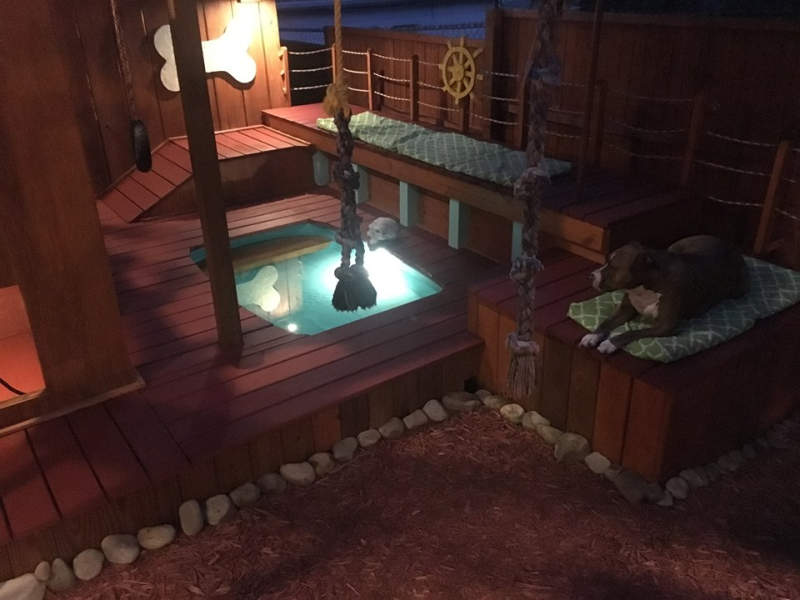 Man builds expansive dog mansion complete with pool and deck