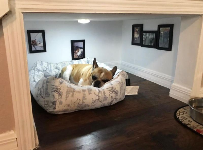 Dog apartment built by a Californian man