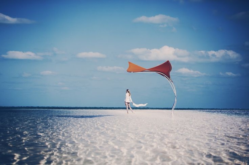 stingray canopy-1