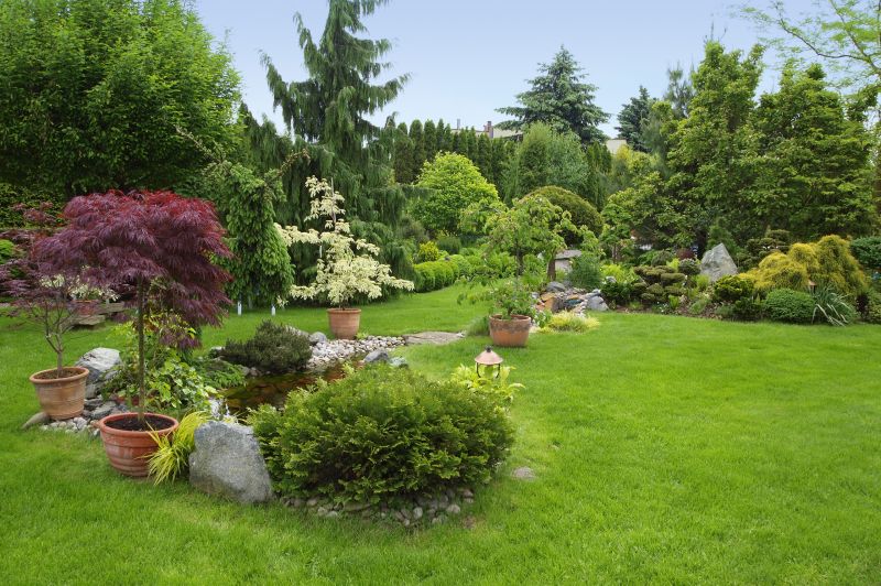 Backyard fencing with plants and trees