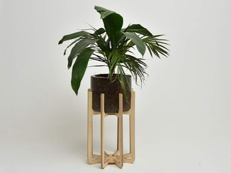 How about furniture made from cow manure?