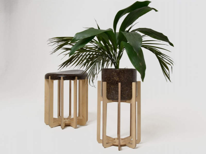 How about furniture made from cow manure?