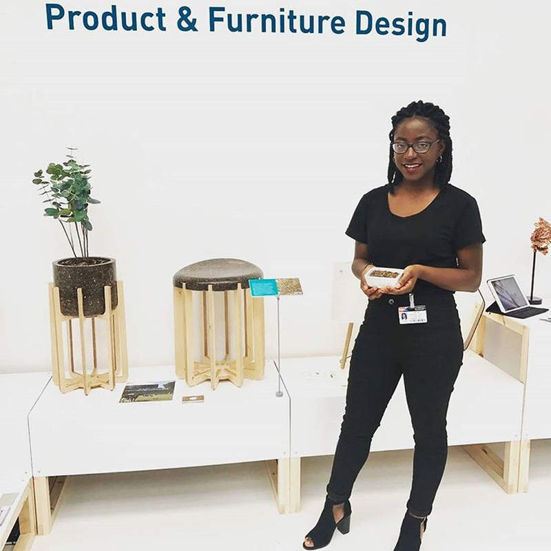 How about furniture made from cow manure?