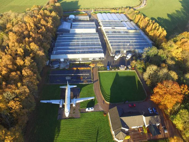Makeup artist turns old airplane into luxury salon in her backyard