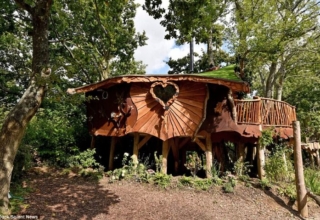 Piggledy Treehouse by Eva Johnson