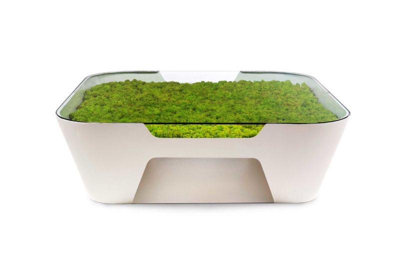 Sinkhole coffee table adds subtle moss décor to your home