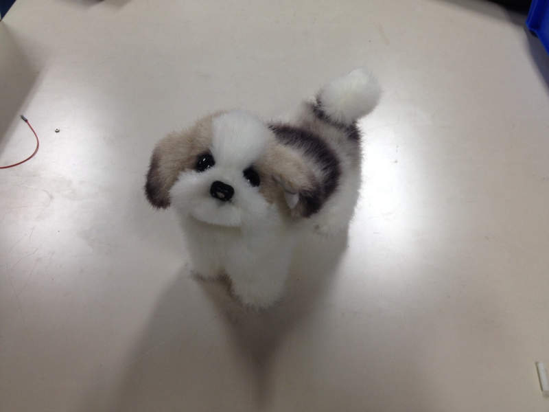 fluffy the robot dog