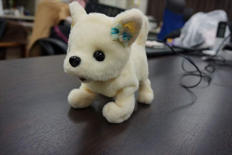 fluffy the robot dog