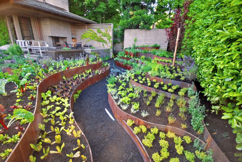 Vegetable garden backyard landscaping