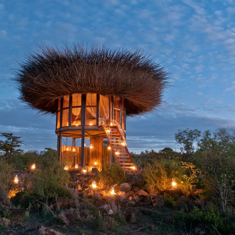 Bird Nest safari suite offers panoramic view of African wilderness