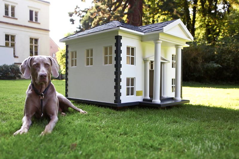 custom built dog houses