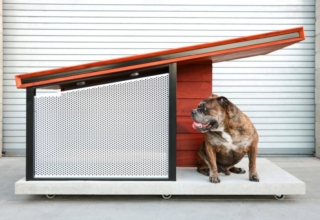 architectural doghouses