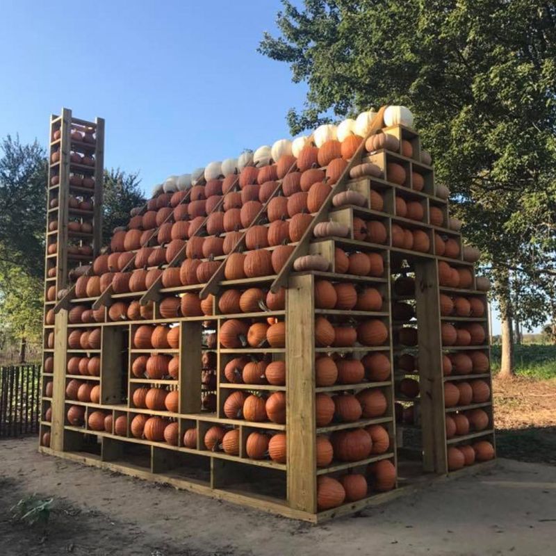 Halloween Pumpkin House