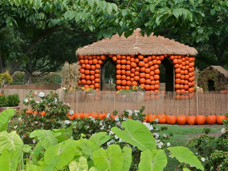 Halloween Pumpkin house