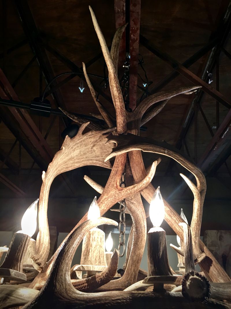 Kelly Maxwell’s real antler chandelier