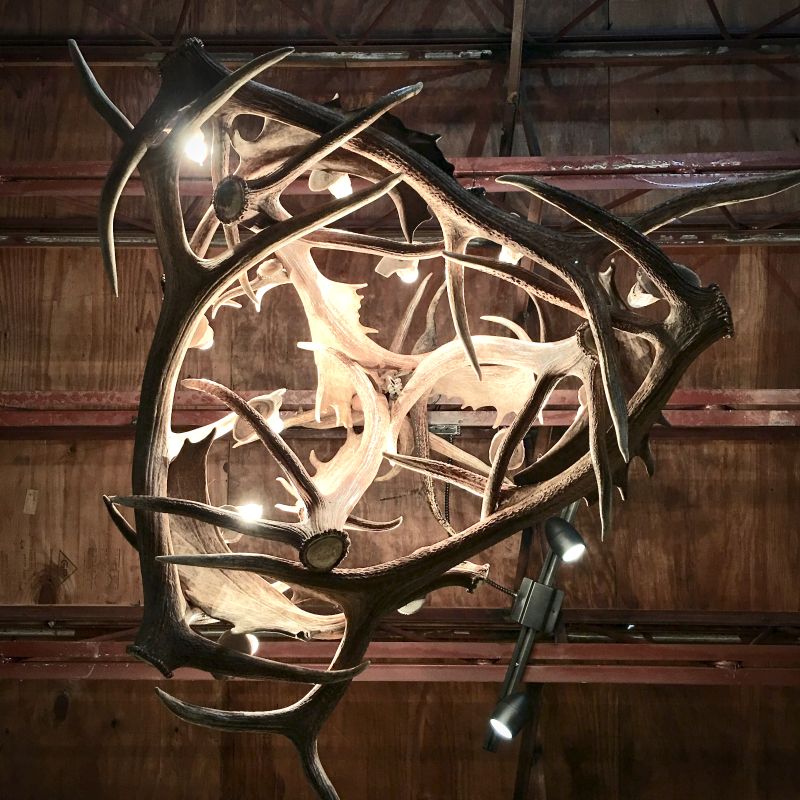Kelly Maxwell’s real antler chandelier