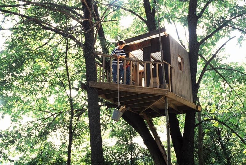 Tips for Building a Treehouse