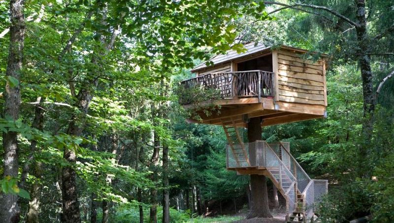 5 Things You Need To Know Before Building A Treehouse