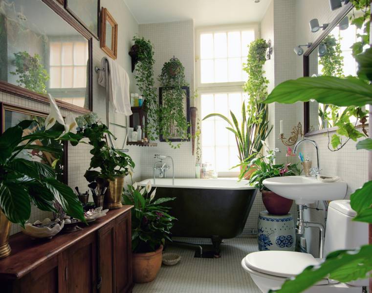 Bathroom green plants