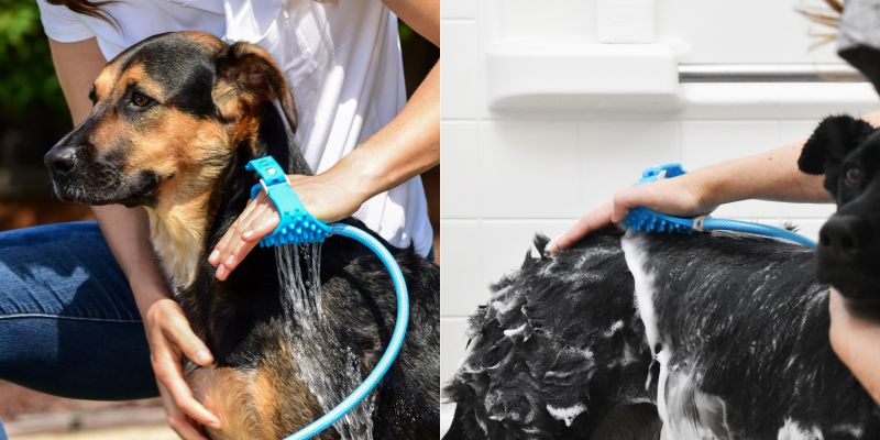 Aquapaw - pet bathing