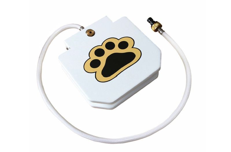 Doggie Fountain